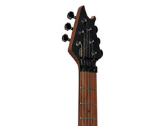 EVH Wolfgang Standard Exotic image 4
