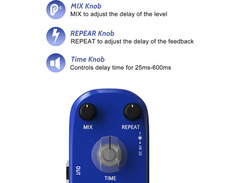 Azor Delay image 3
