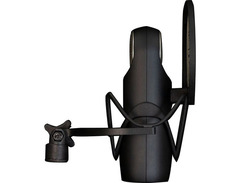 Aston Element image 2