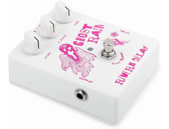 Caline CP-41 Ghost Rain Reverb Delay image 4