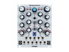 Intellijel Morgasmatron image 2