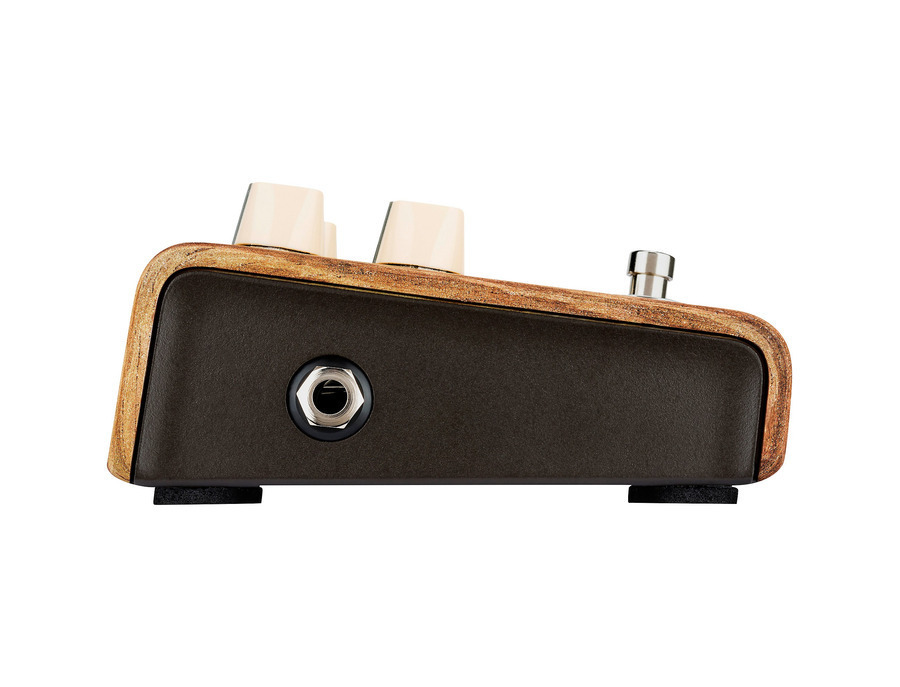 L.R. Baggs LR Baggs Align Series Session - What To Know & Where To