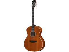 dana acoustic image 4
