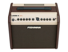 Fishman Loudbox Mini image 2