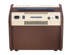 Fishman Loudbox Mini image 3