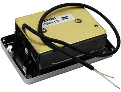 Mudbucker image 4