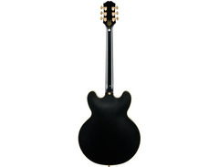 Epiphone Sheraton Stealth Emily Wolfe Signature image 3