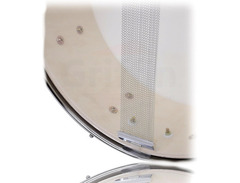 Griffin 14" x 5.5" Poplar Snare Drum image 2