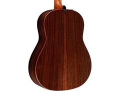 Taylor 717e Grand Pacific Builder's Edition image 2