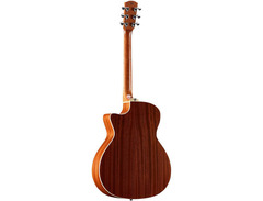 Alvarez Artist Series AG60CE image 2