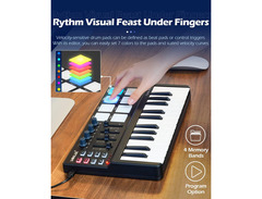 Worlde Panda Mini MIDI Keyboard image 3