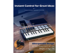 Worlde Panda Mini MIDI Keyboard image 4