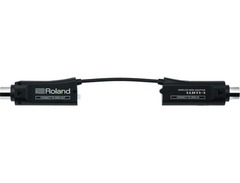 Roland WM-1 image 2