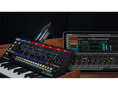 Roland WM-1 image 4