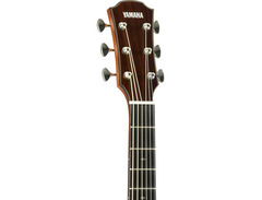 Yamaha AC5M ARE image 3