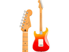 Fender Player Plus Stratocaster image 2
