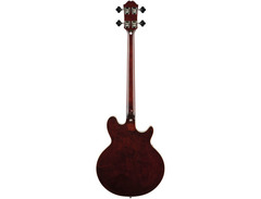 Epiphone Jack Casady Artist Series Signature Bass Left-handed image 3