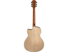 Washburn Apprentice AG40CE Acoustic-Electric Guitar image 2