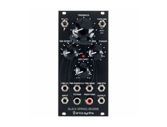 Erica Synths Black Spring Reverb image 2