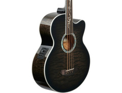 Michael Kelly Dragonfly 4 Fretless image 2