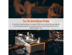 Joyo R-Series R-02 Taichi image 2