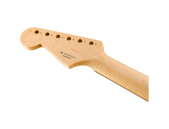 Fender Classic Player '60s Stratocaster Replacement Neck - Pau Ferro Fingerboard image 4