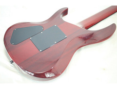 ESP Bottom Line GT image 2