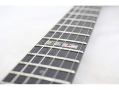 ESP Bottom Line GT image 4