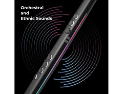 Robkoo Wind Synthesizer R1 image 2