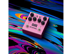Strymon DIG Digital Delay Pedal V2 image 3
