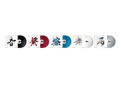 Pioneer DJ RB-VD2 12-inch Rekordbox Control Vinyl Pair image 3