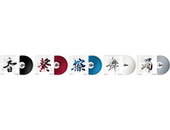 Pioneer DJ RB-VD2 12-inch Rekordbox Control Vinyl Pair image 4