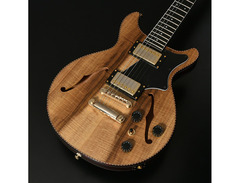 SeventySeven Albatross Jazz Guitar image 3