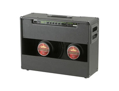 Dime Amplification D100C Combo Amp image 3