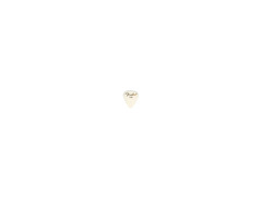 Fender 351 Heavy Celluloid Picks image 2