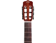 Cordoba Fusion 12 Rose II image 3