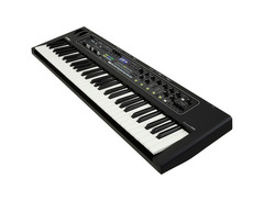 Yamaha CK61 image 3
