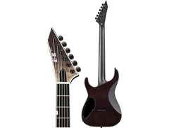 ESP E-II M-II NT image 2
