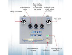 Joyo R-Series R-19 Avallon image 3