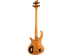 Schecter Riot-4 Session image 3