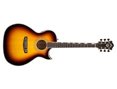 Guild Doyle Dykes Signature Maple image 2