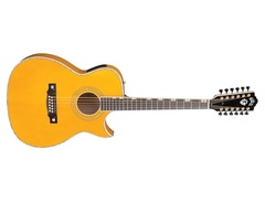 Guild Doyle Dykes Signature 12-String image 2