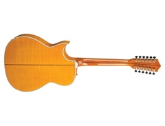 Guild Doyle Dykes Signature 12-String image 3