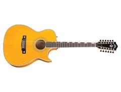 Guild Doyle Dykes Signature 12-String image 4