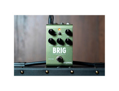 Strymon Brig Multi-voice dBucket Delay Pedal - What To Know