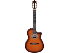 Ibanez GA Cutaway Thinline Nylon-string Acoustic-electric Guitar image 3