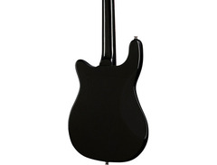 Epiphone Embassy image 2