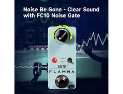 Flamma FC10 Gate image 4
