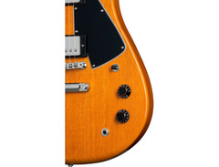 Gibson Theodore Standard image 4