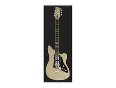 Duesenberg Alliance Series Dave Baksh image 2
